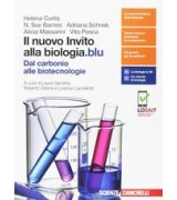 MULTIMATH.ROSSO 2 X BN IT ECON. +EBOOK