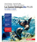 MATERIA STORIA 2 X BN