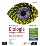 ALLA LETTERA CONF.(A+B) VOLUME A + PROVE D`INGRESSO + IN PRIMA! + LE REGOLE + VOLUME B + 2 DVD ROM V