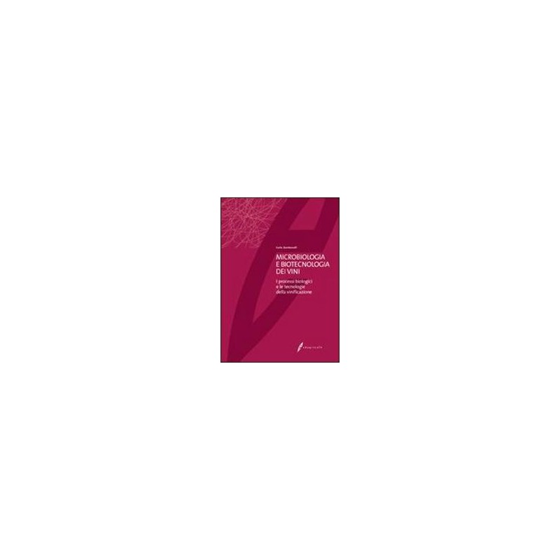 FINO A NOI VOLUME 1 + ATLANTE 1 + CITTADINANZA + QUADERNO 1 Vol. 1