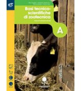 FISICA MODELLI TEORICI E PROBLEM SOLVING - EDIZIONE PREMIUM - PRIMO BIENNIO  Vol. U