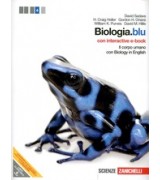 VISIBILE PARLARE 3A+3B+GUIDA ALLO STUDIO